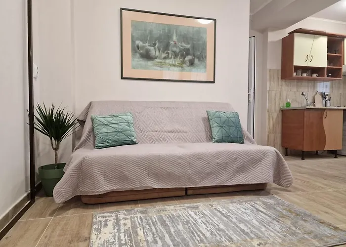 Апартаменти Laroka House Beautiful Universitate Center *